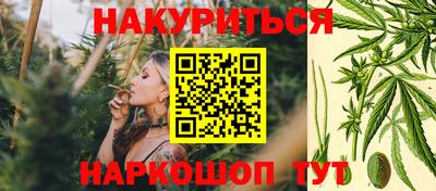 сатива Камышлов