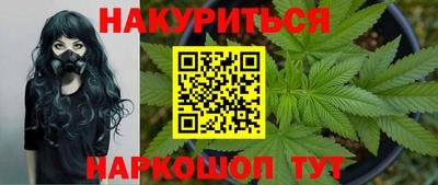 сатива Камышлов