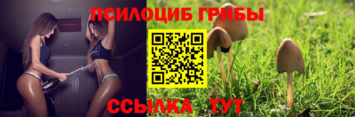 Галлюциногенные грибы MAGIC MUSHROOMS  Вход с VPN  Кировск 